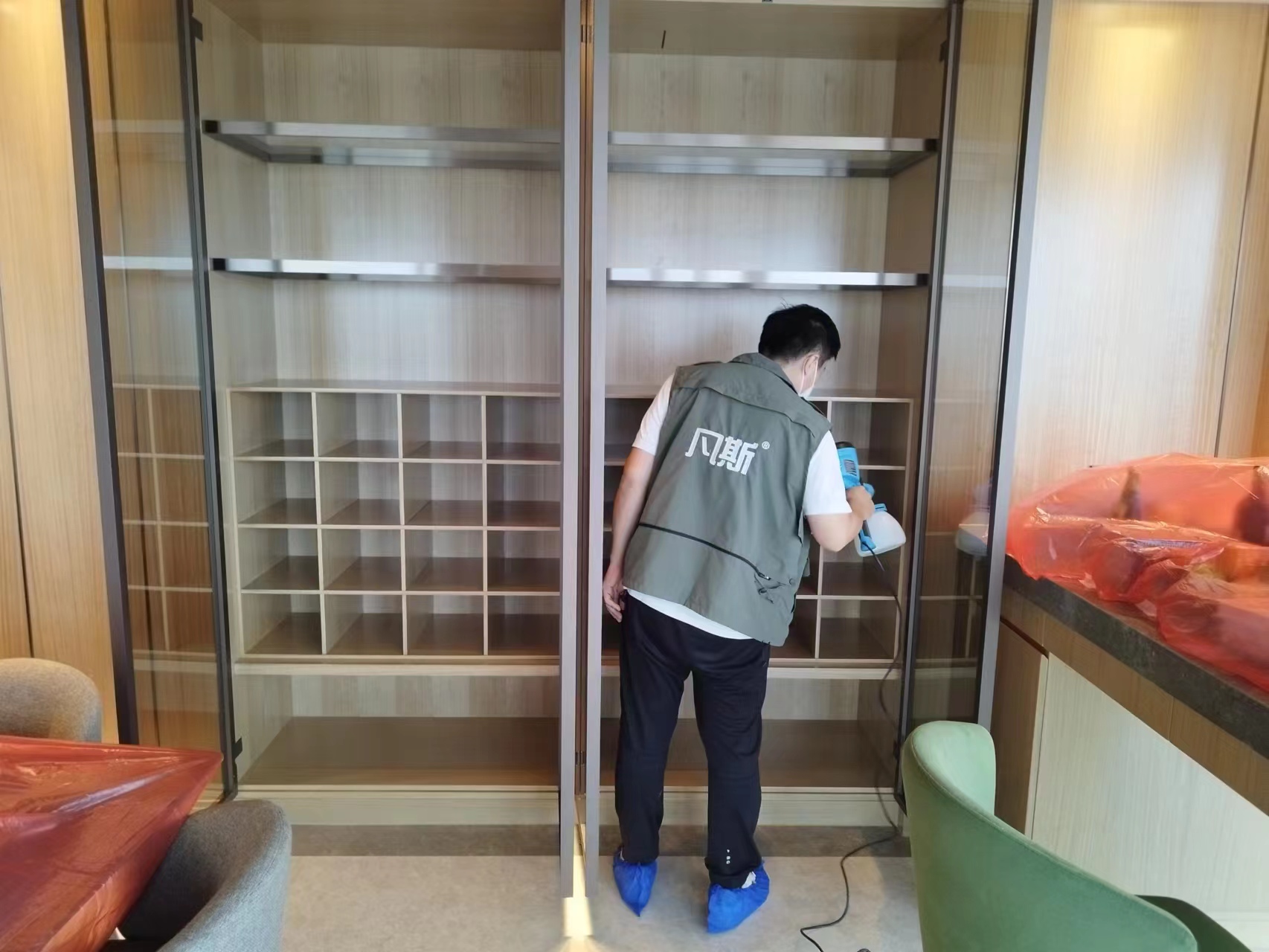 家里綠植的選購技巧，凈化室內(nèi)空氣